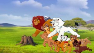 lion prides