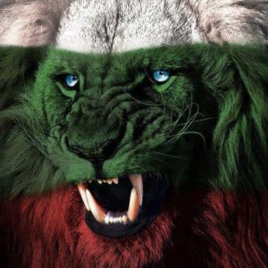 lion three colors
