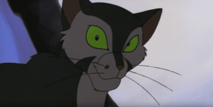francis the cat