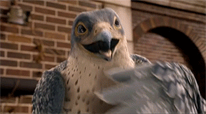 falcon