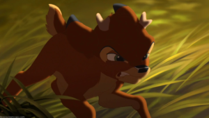 ronno fawn